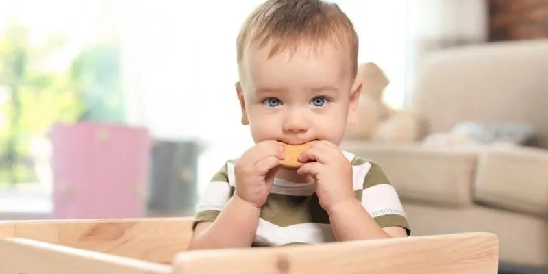 Bánh Quy Cho Bé: Cách Giới Thiệu Vào Chế Độ Ăn Của Bé